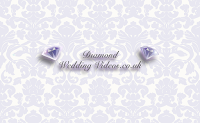 Diamond Wedding Videos   West Midlands 1069235 Image 9